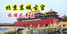 欧州大鸡巴操美妇中国北京-东城古宫旅游风景区